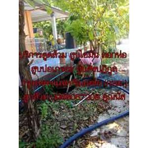 หนองจอก