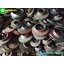 ใบพัดปั๊มน้ำ งานสั่งหล่อใหม่ Impeller