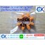 ยางยอย KTR Rotex Spiders GS/GR 9,14,19,24,28,38,42,48,55, 65,75,90,100,110,125,140,160,180