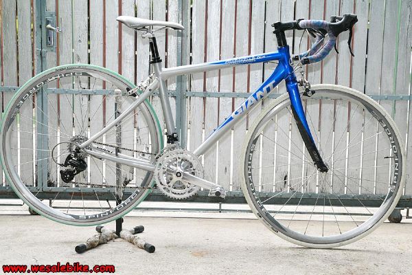 เสือหมอบ Giant OCR3 ตะเกียบคาร์บอน ไซส์ S