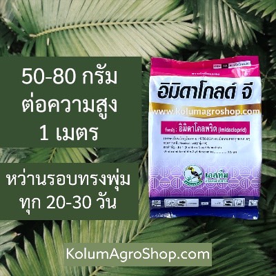 อิมิดาโกลด์จี ขนาด 100 กรัม X 5 ซอง
