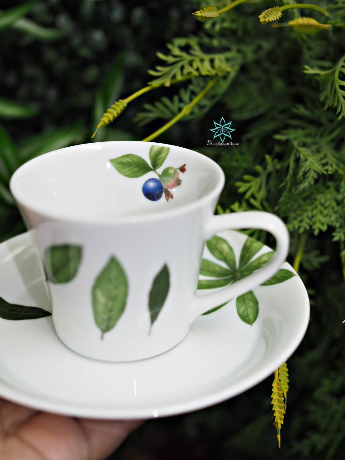 set จาน + ชุดกาแฟ R~ Roberta Baldini Paris