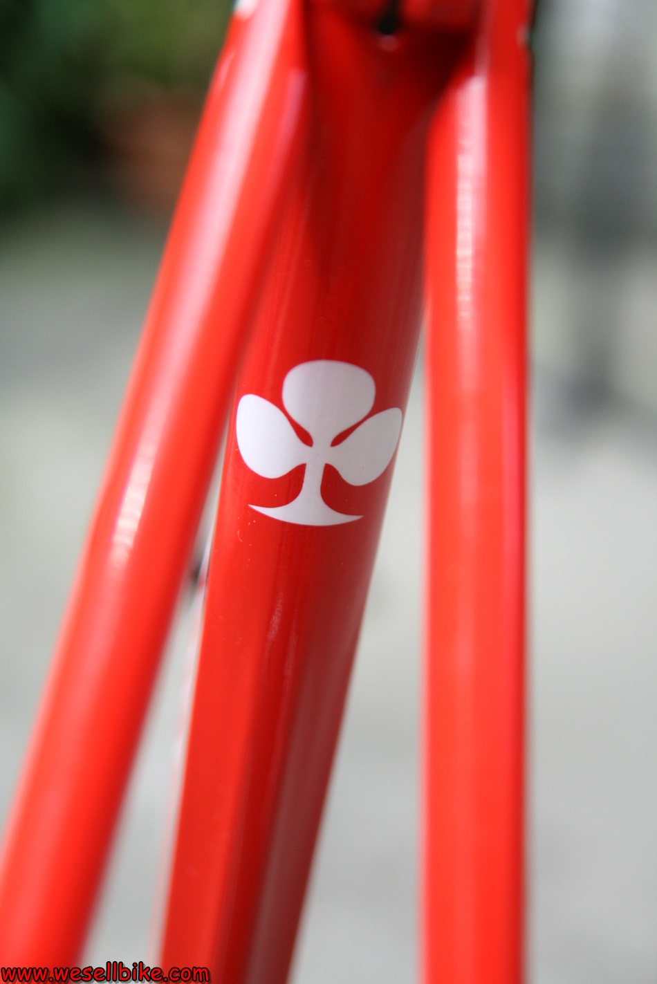 เฟรมเสือหมอบโครโมลี่ Colnago master ไซส์ L (54x55)