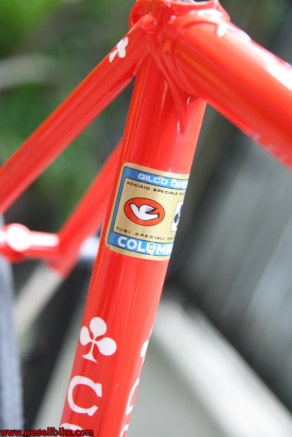 เฟรมเสือหมอบโครโมลี่ Colnago master ไซส์ L (54x55)