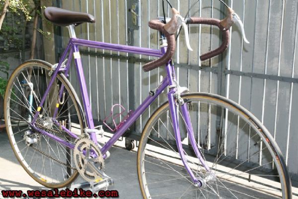 เสือหมอบโครโมลี่ สับถัง Panasonic อะไหล่RX100 ไซส์ M