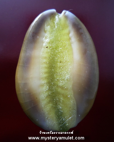 เบี้ยแก้ เสาร์ 5 หลวงพ่อเมียน วัดจะเนียงวนาราม จ.บุรีรัมย์