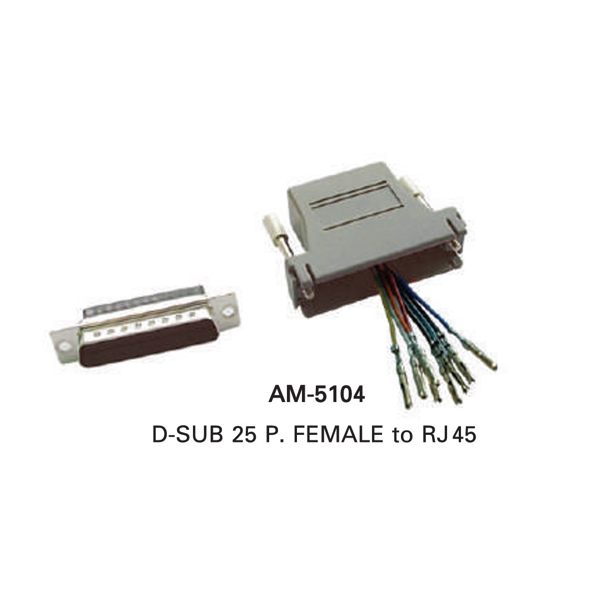 INTERLINK D-SUB to RJ45 Model AM-5104