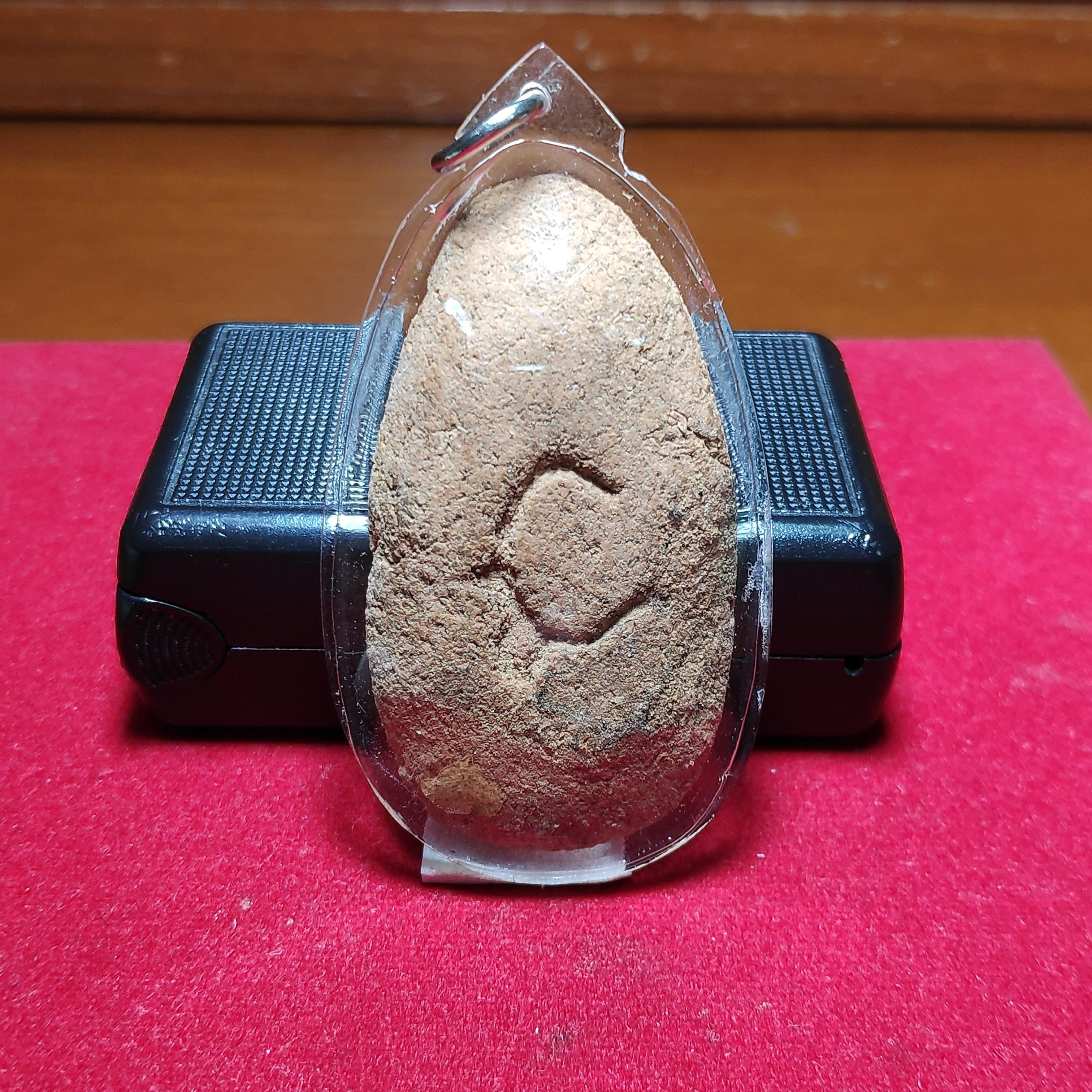 พระขุนเเผนไข่ผ่าซีกหลังจารยันต์หลวงพ่อถิรวัดป่าเลไลย์เนื้อดิน