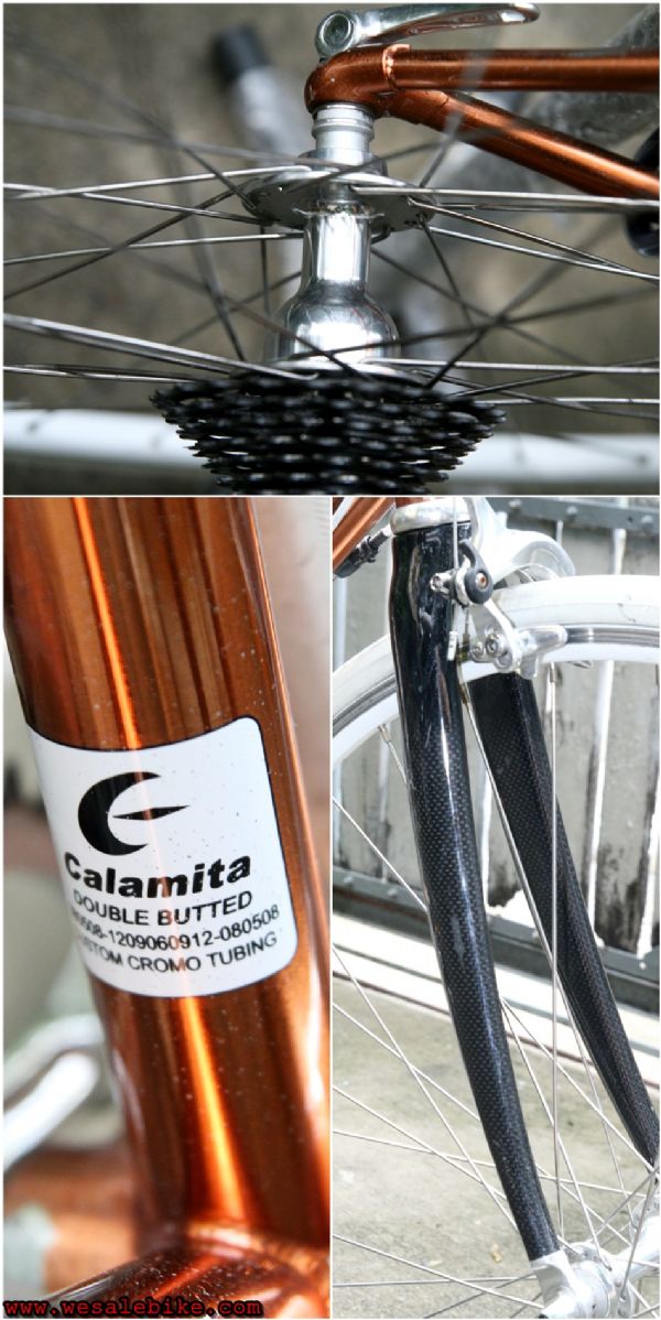 เสือหมอบ Calamita due เฟรมโครโมลี ไซส์ S