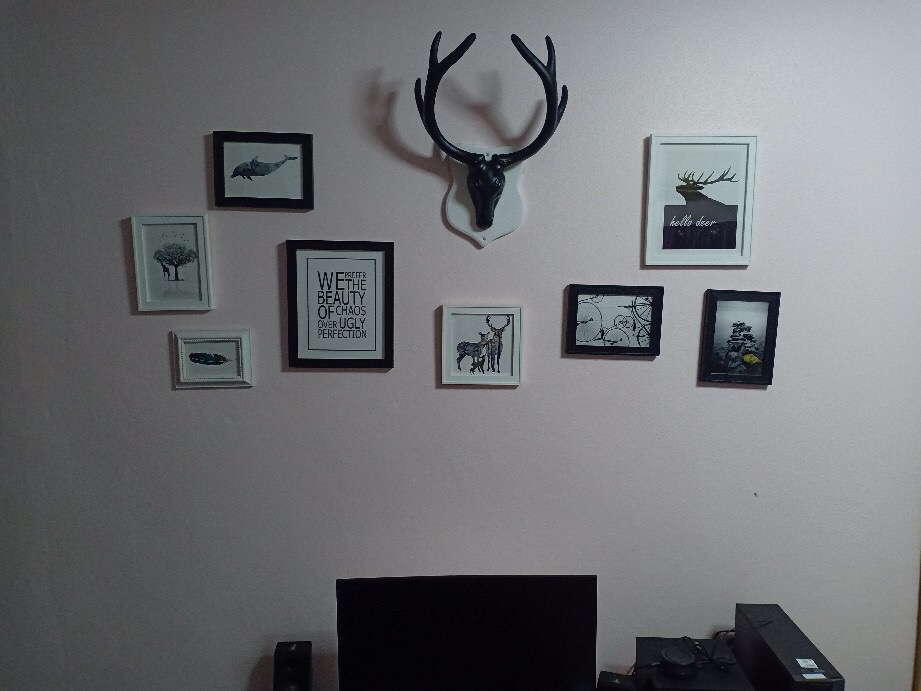ชุดกรอบรูปติดผนัง Black Deer กรอบรูปไม้ 8 ชิ้น+หัวกวาง พร้อมรูปภาพตามแบบและวัสดุติดตั้ง