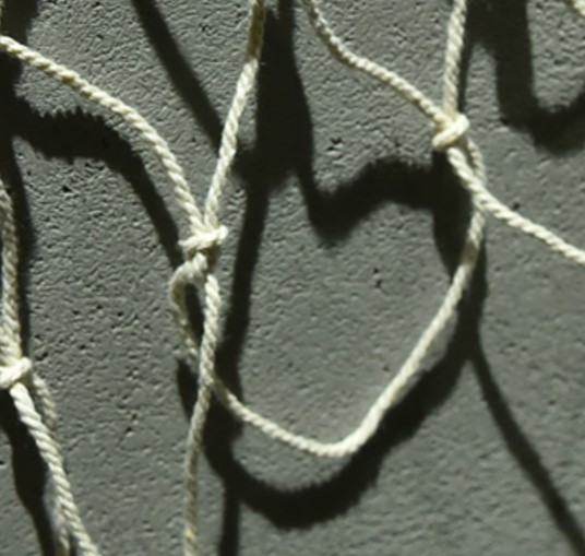 ตาข่ายพร้อมกรอบรูปโปสการ์ด 40 รูป (ใส่รูปแนวตั้งขนาด11*8 cm) : picture on net