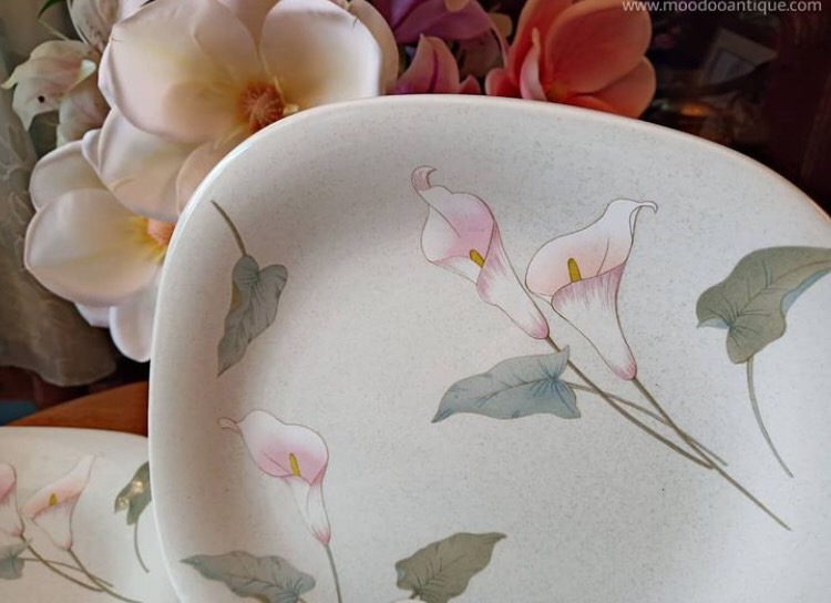 จานอาหาร แบรนด์ MIKASA Natural Beauty CT002