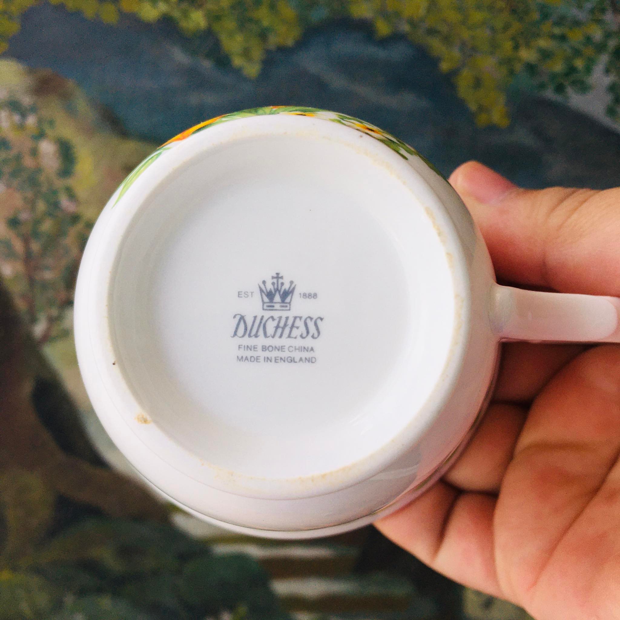 แก้วชากาแฟ แบรนด์ DUCHESS FINE BONE CHINA MADE IN ENGLAND EST 1888