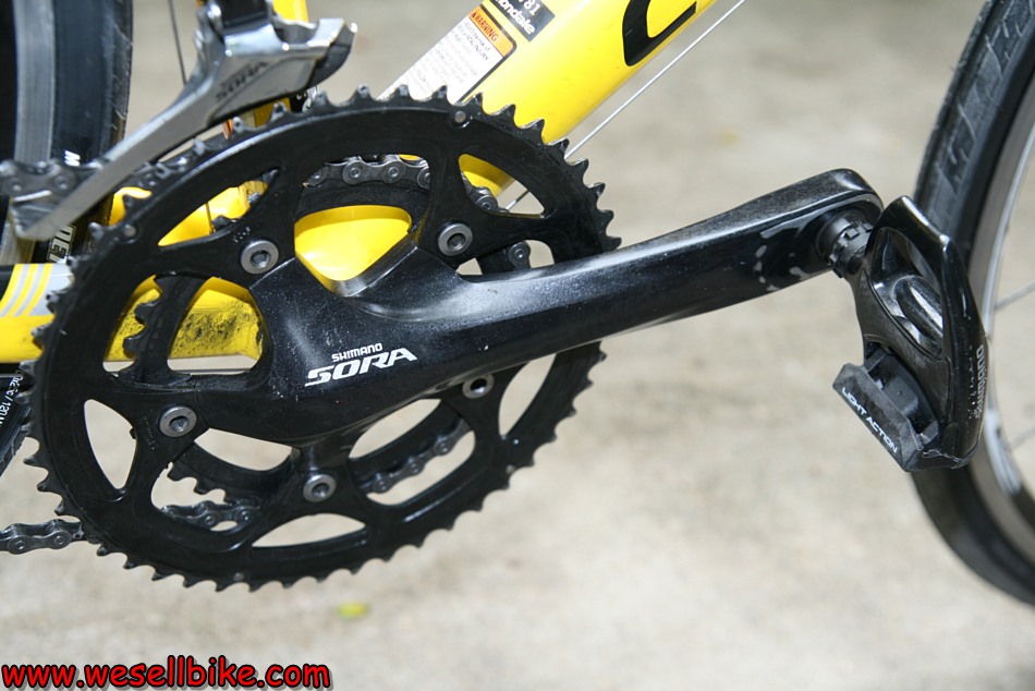 เสือหมอบอลูมิเนียม Cannondale CAAD8 ไซส์ L (56)