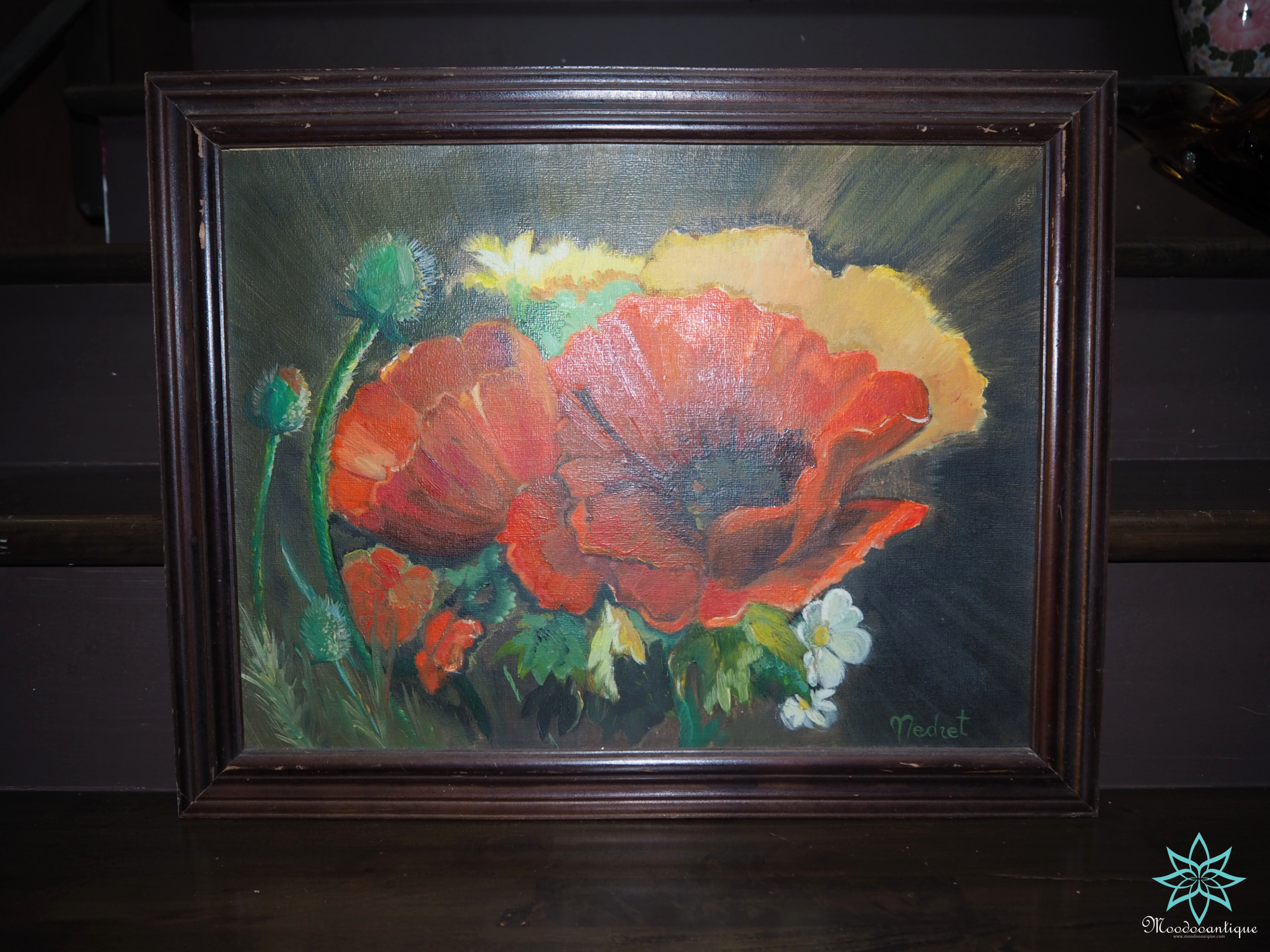 Red poppy