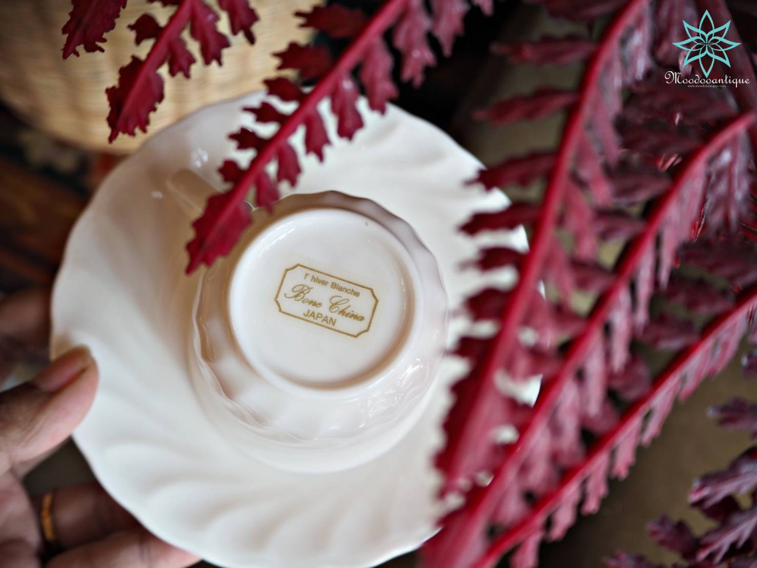 L'HIVER BLANCHE BONE CHINA