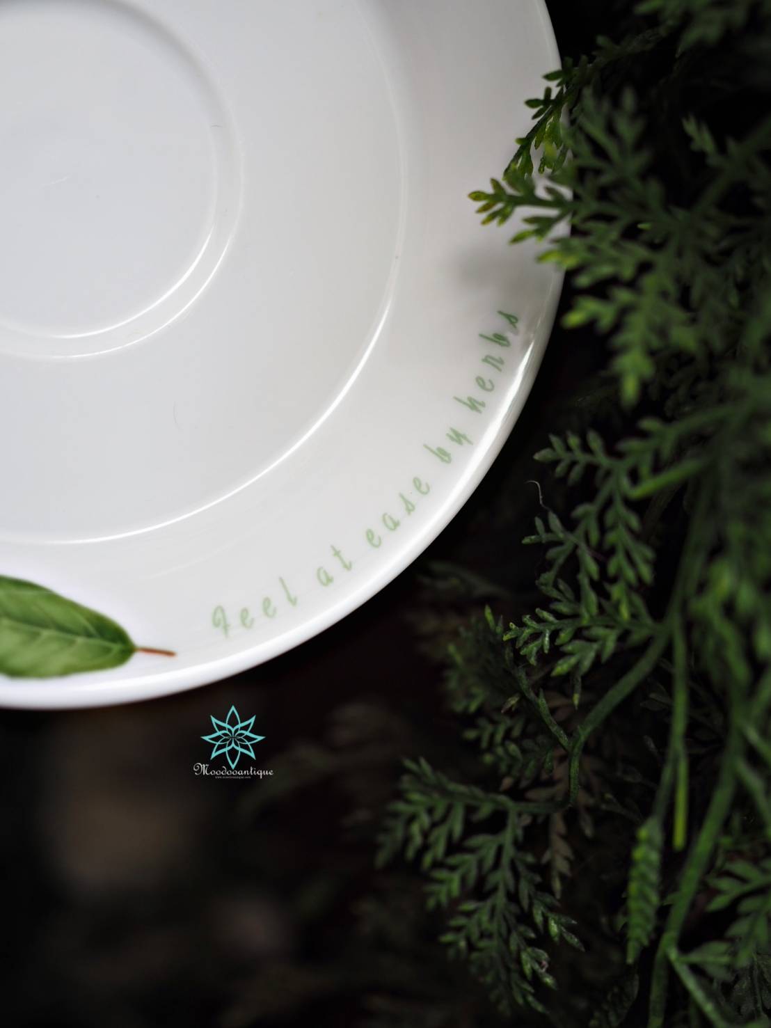 set จาน + ชุดกาแฟ R~ Roberta Baldini Paris