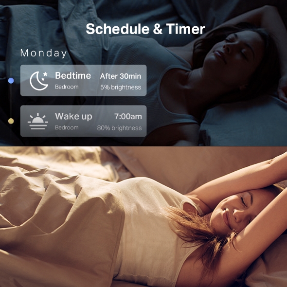 Tapo L530E(4-Pack) Smart Wi-Fi Light Bulb, Multicolor