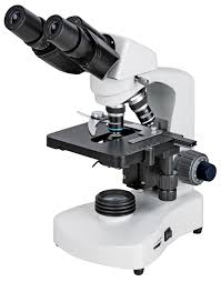 กล้องจุลทรรศน์ optika