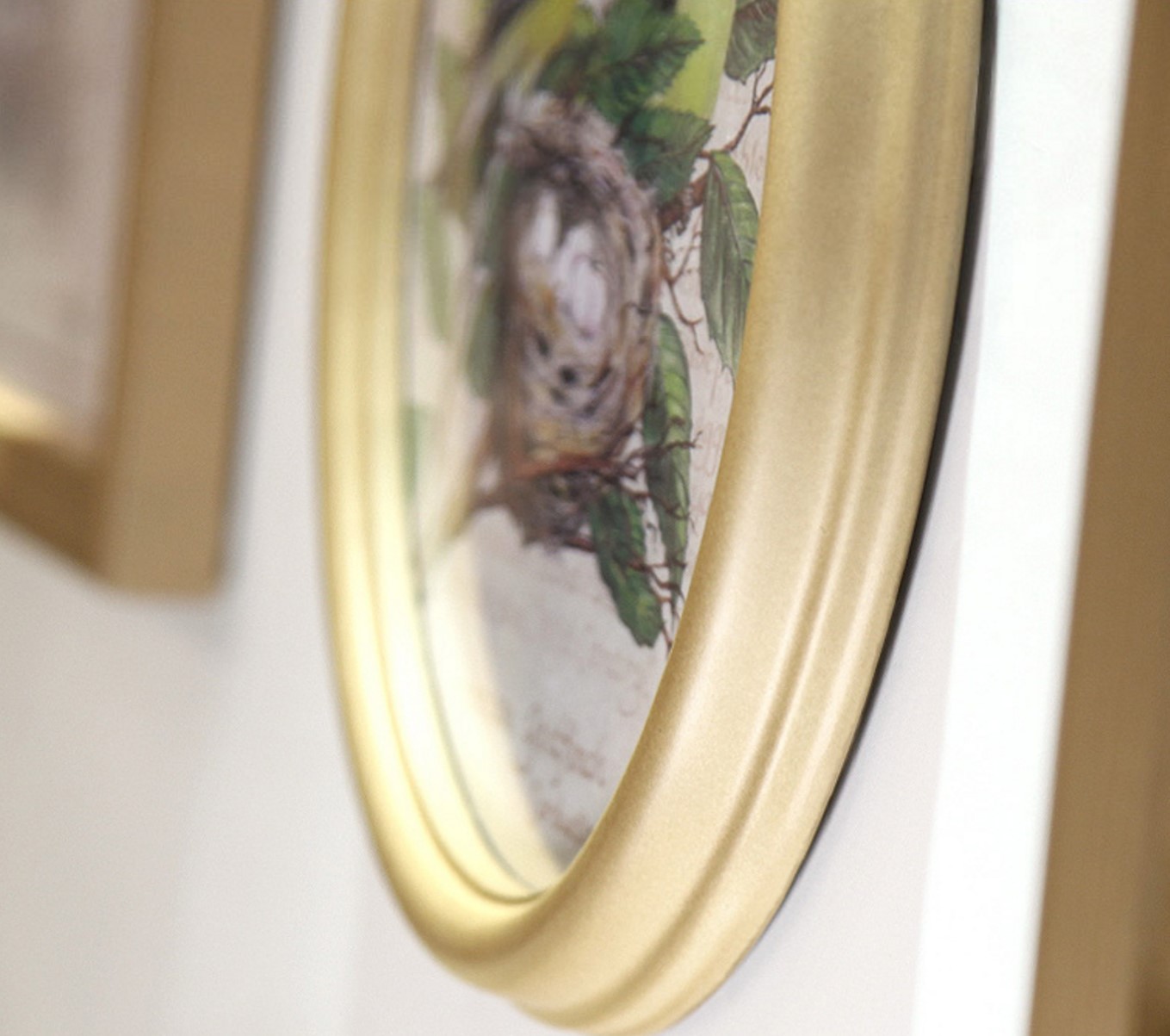 ชุดกรอบรูปติดผนัง Deer Model : กรอบรูปไม้ 8 ชิ้น+หัวกวาง พร้อมรูปภาพตามแบบและวัสดุติดตั้ง