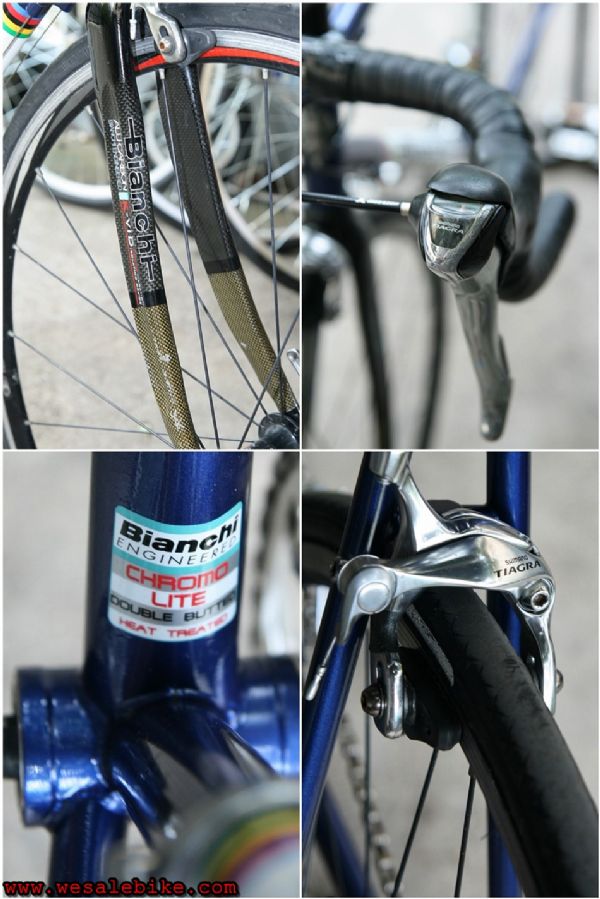 หมอบโครโมลี่ Bianchi imola ตะเกียบคาร์บอน ไซส์ S