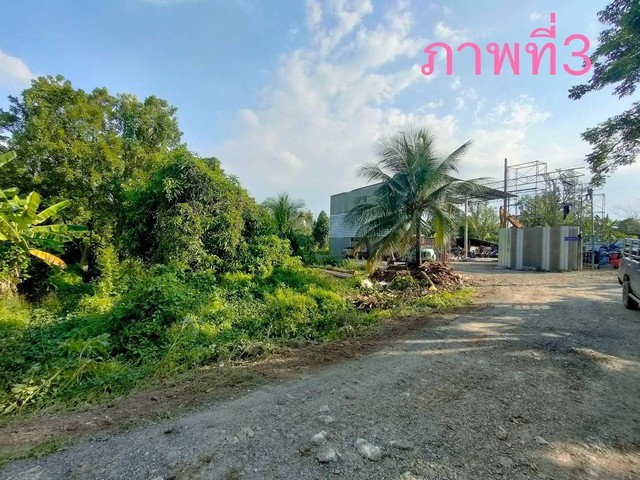 (MH115) ขายที่ดินเปล่าติดถนนนครอินทร์ฝั่งขาเข้า ทำเลดี พื้นที่สวย