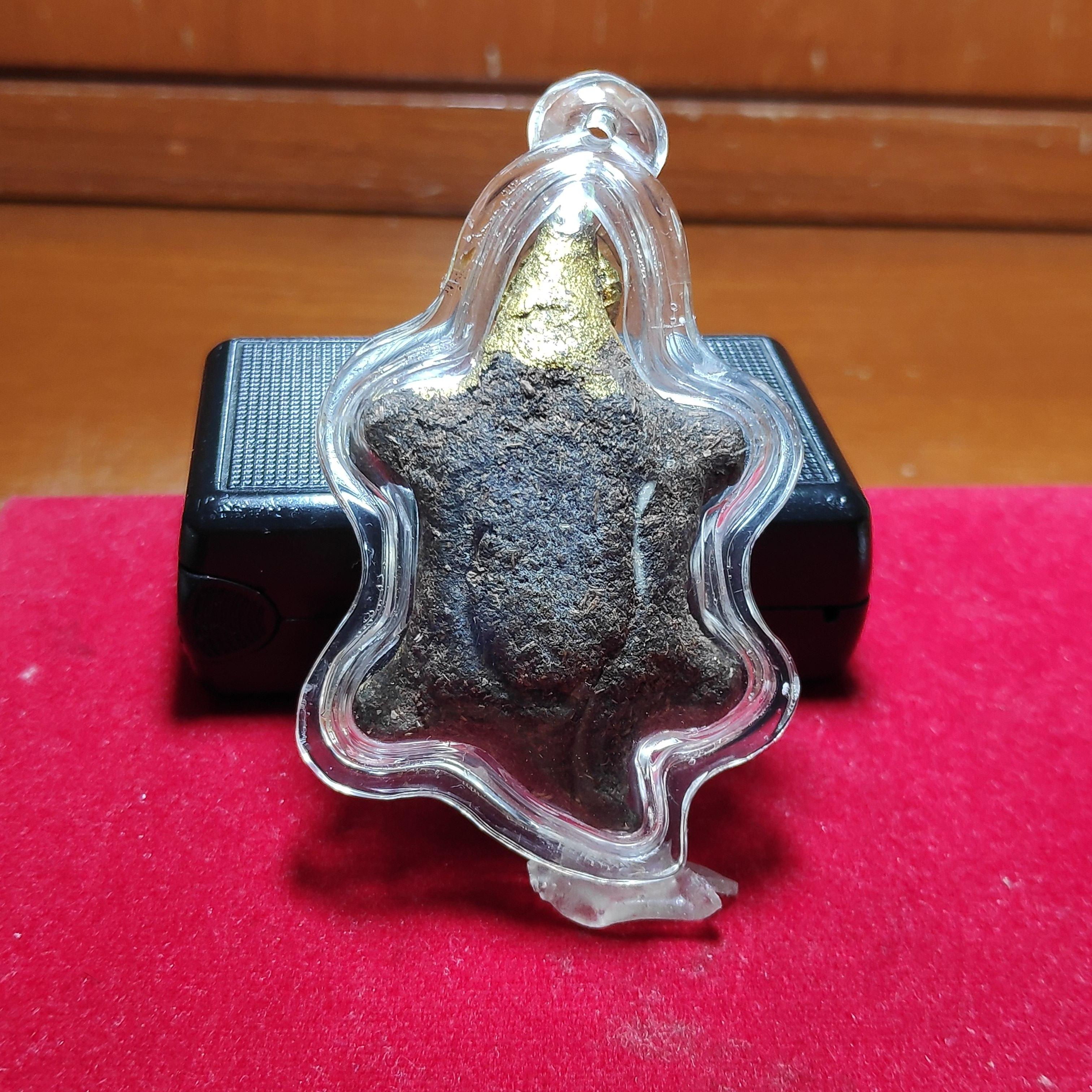 พญาเต่าเรือนปิดทองเนื้อชากหมาก