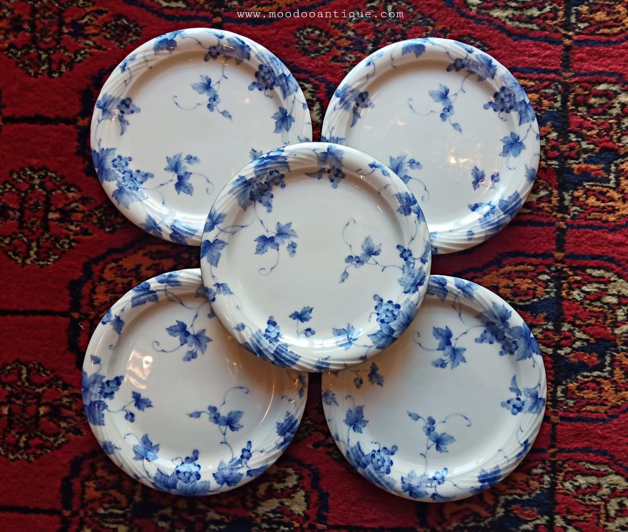 Adam&Eve ( blue& white )000