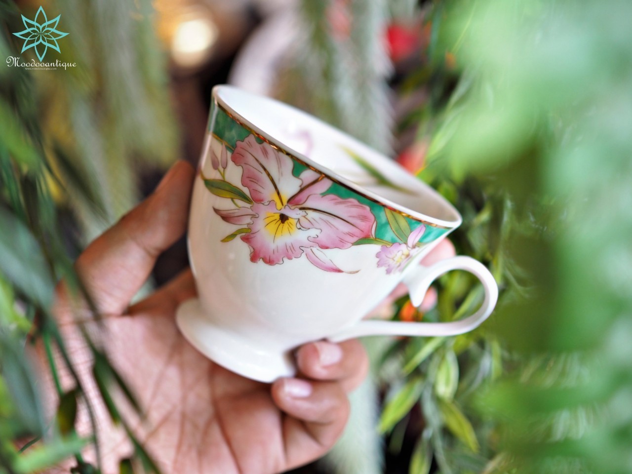 Roberta Baldini Japan