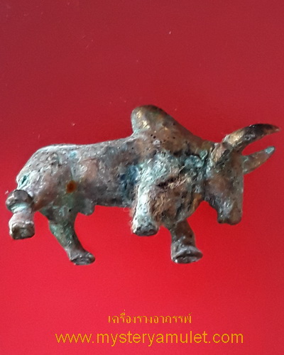 วัวธนูสยบอาถรรพ์ หลวงปู่ศวัส( พ่อปู่ฤษี )วัดเกษตรสุข พะเยา รุ่นแช่น้ำมนต์ที่หลวงปู่ไว้รดลูกศิษย์