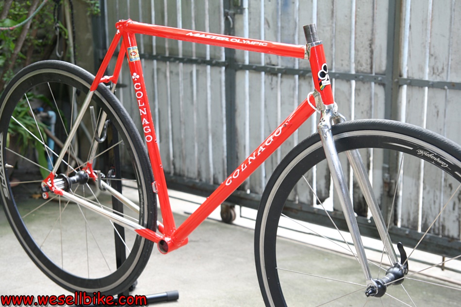 เฟรมเสือหมอบโครโมลี่ Colnago master ไซส์ L (54x55)