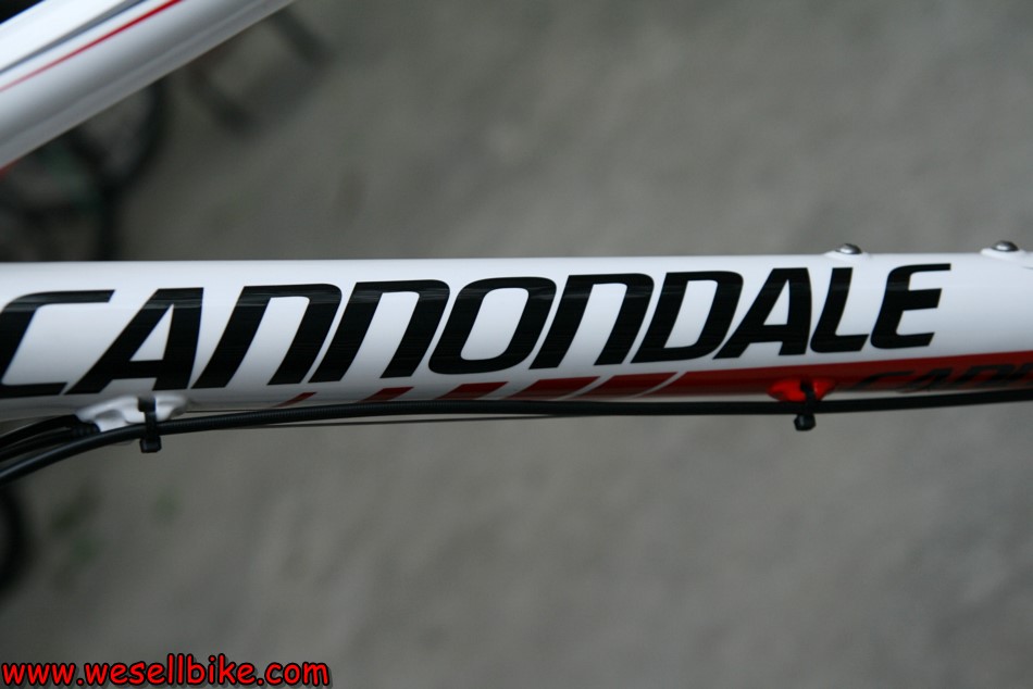 เสือภูเขาคาร์บอน Cannondale Flash โช๊คLefty ล้อCrossmax SLR ไซส์ M