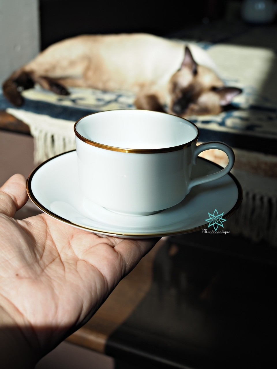 Noritake 1970s Gold Band Fine Porcelain Cup & Saucer