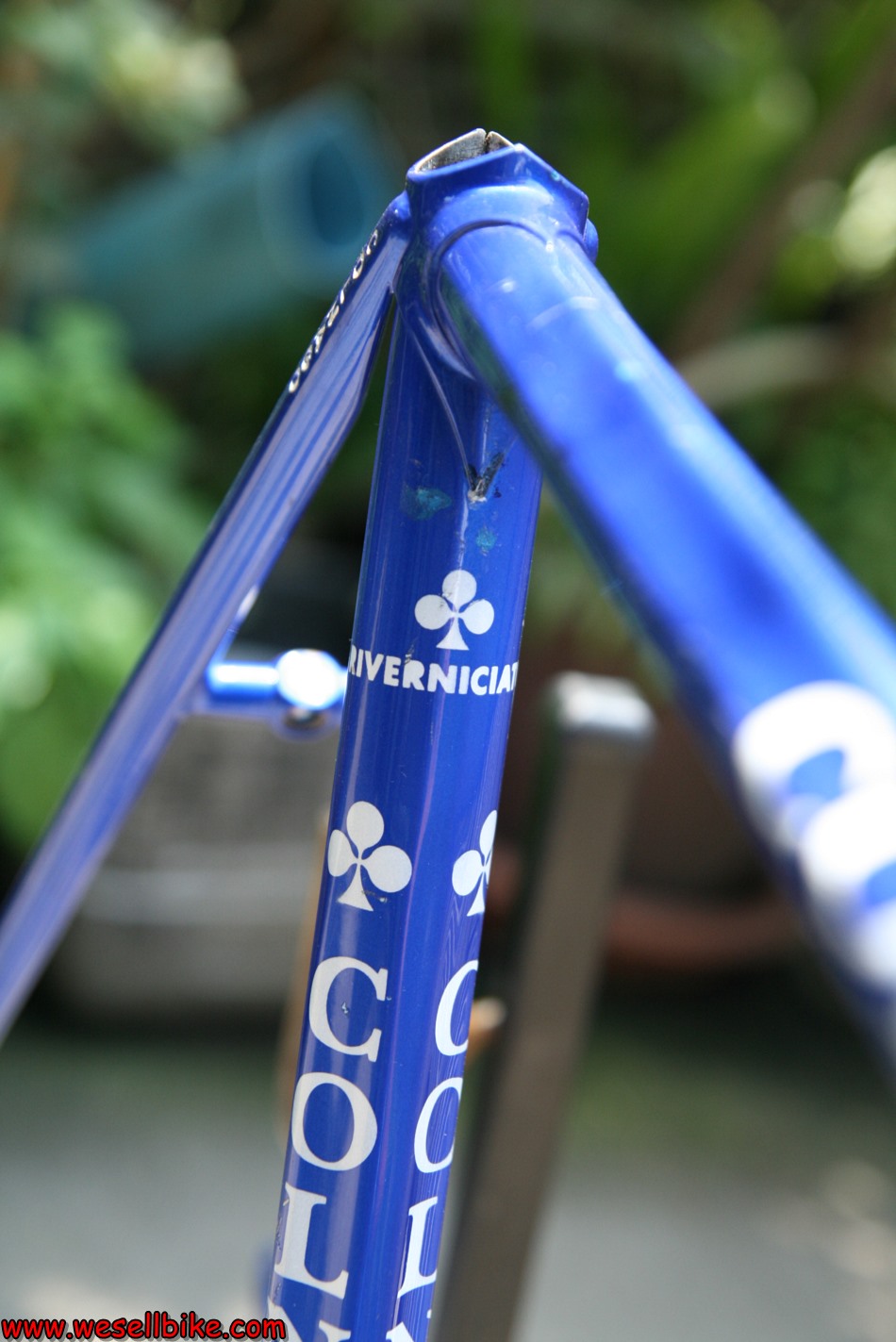 เฟรมเสือหมอบโครโมลี่ Colnago master (53x52.5) ไซส์ M