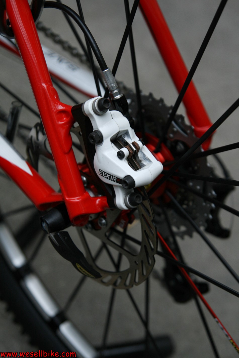 เสือภูเขาคาร์บอน Cannondale Flash โช๊คLefty ล้อCrossmax SLR ไซส์ M