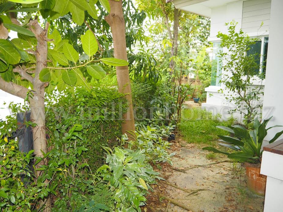 ขายบ้านเดี่ยว ม.สราญสิริ ท่าข้าม-พระราม2 แปลงหัวมุมซอยแรกของโครงการ