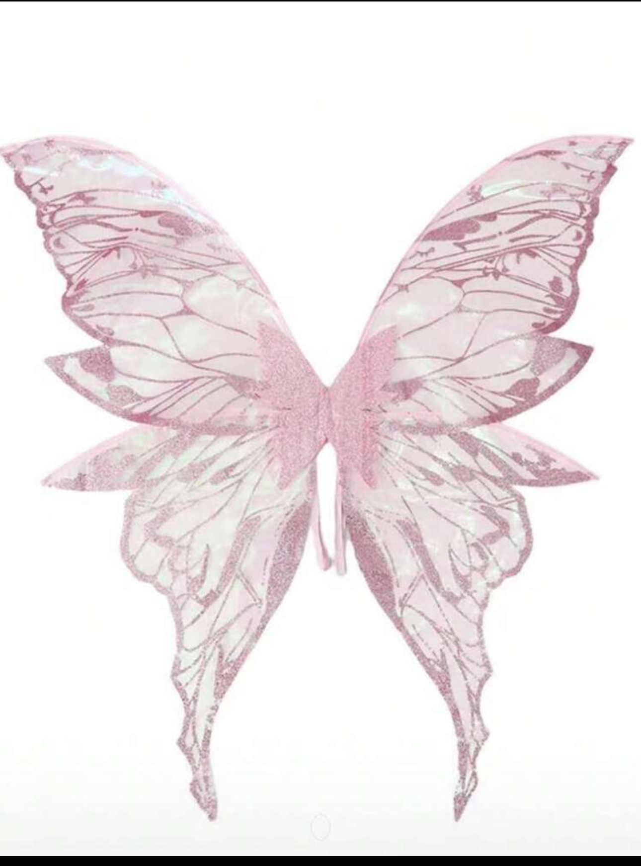 ปีกนางฟ้า