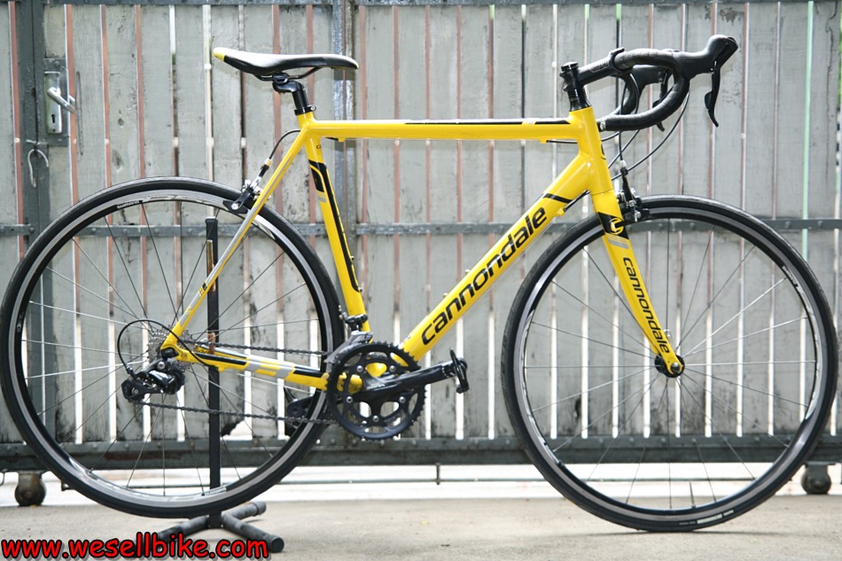 เสือหมอบอลูมิเนียม Cannondale CAAD8 ไซส์ L (56)