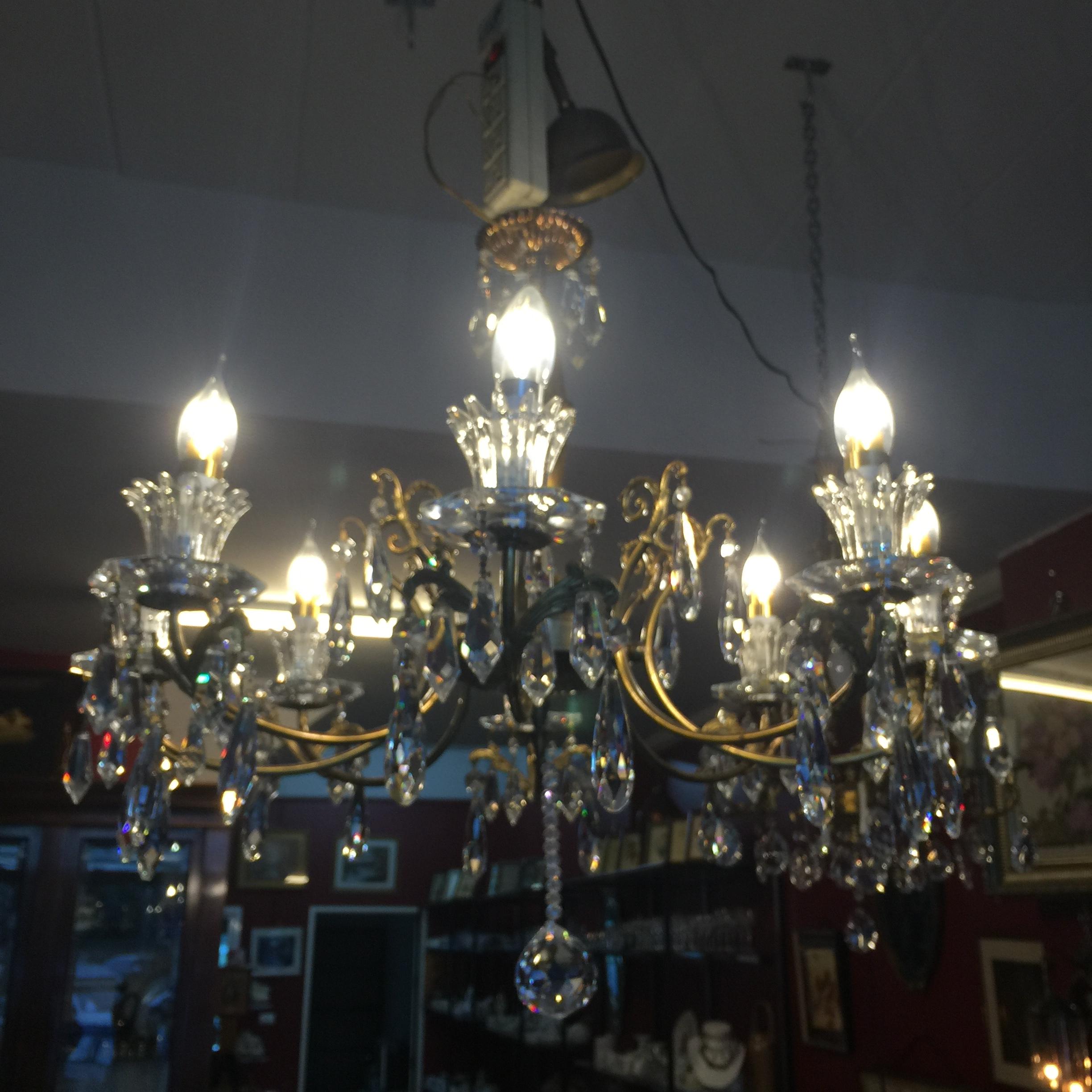 แซนเดอเรียทองเหลือง8 ช่อ