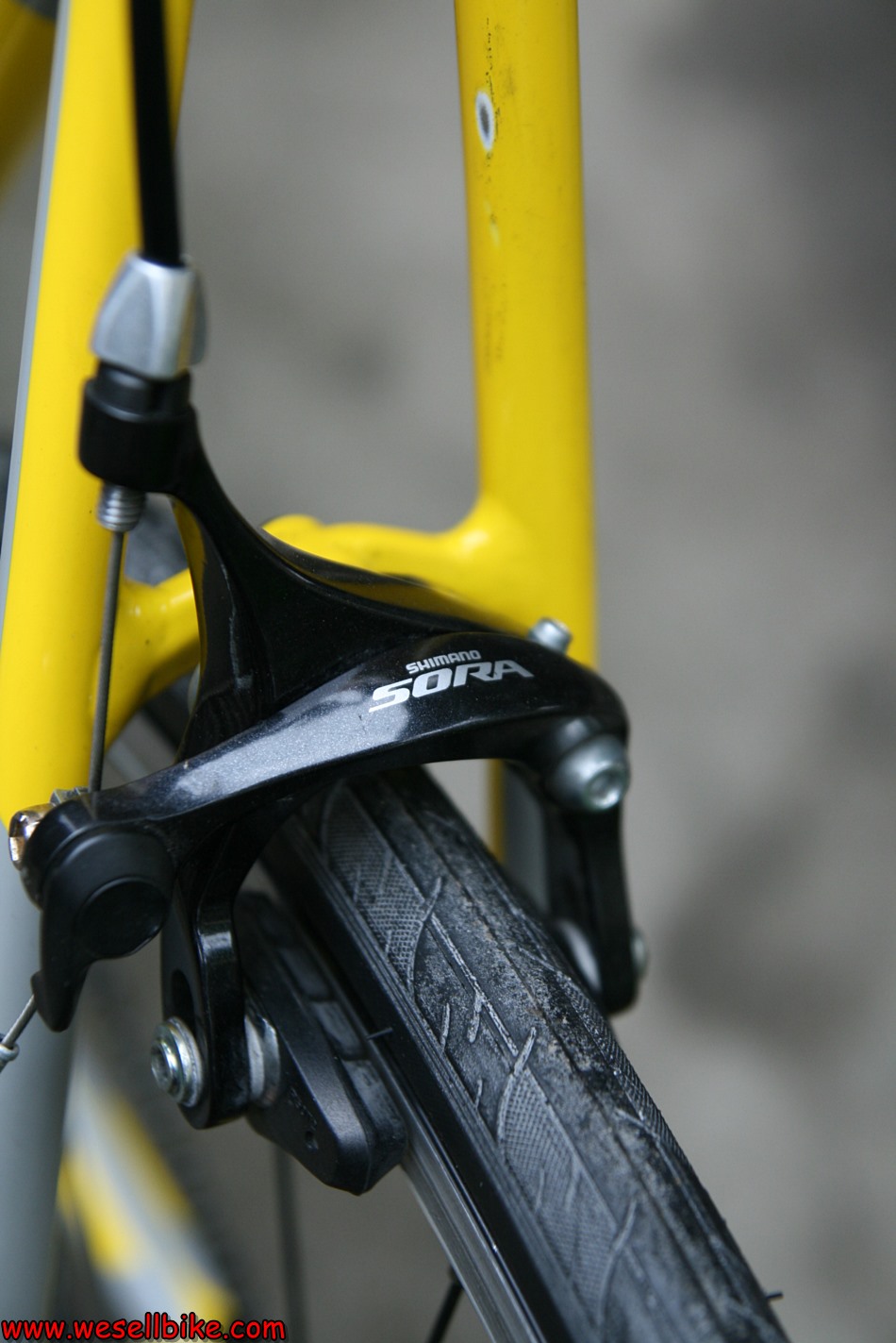 เสือหมอบอลูมิเนียม Cannondale CAAD8 ไซส์ L (56)