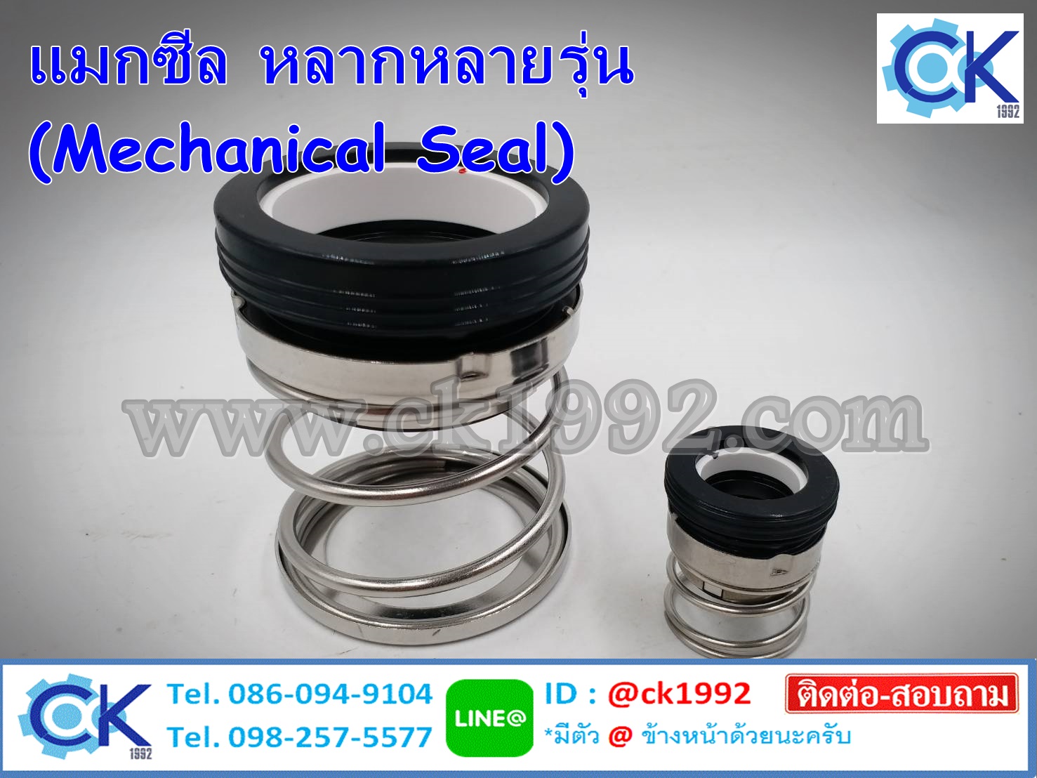 แมกซีล Mechanical Seal
