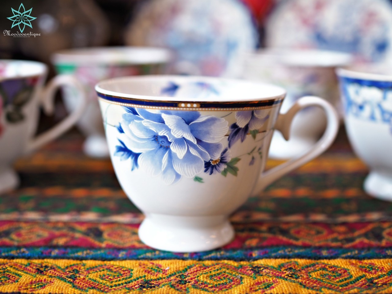 Roberta Baldini Japan