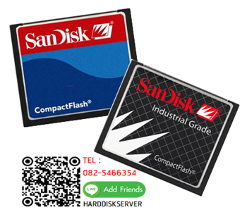 Sandisk Compact Flash Card 32MB