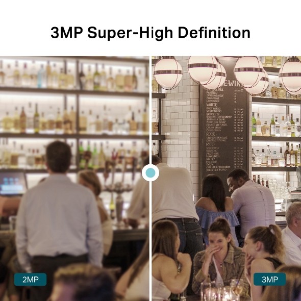 VIGI C430I VIGI 3MP IR Turret Network Camera