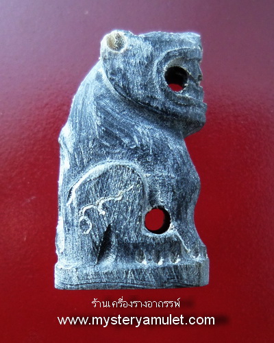 พญาเสือกันภัย เนื้อเขาควายแกะ หลวงปู่ฤทธิ์ วัดชลประทานราชดำริ จ.บุรีรัมย์