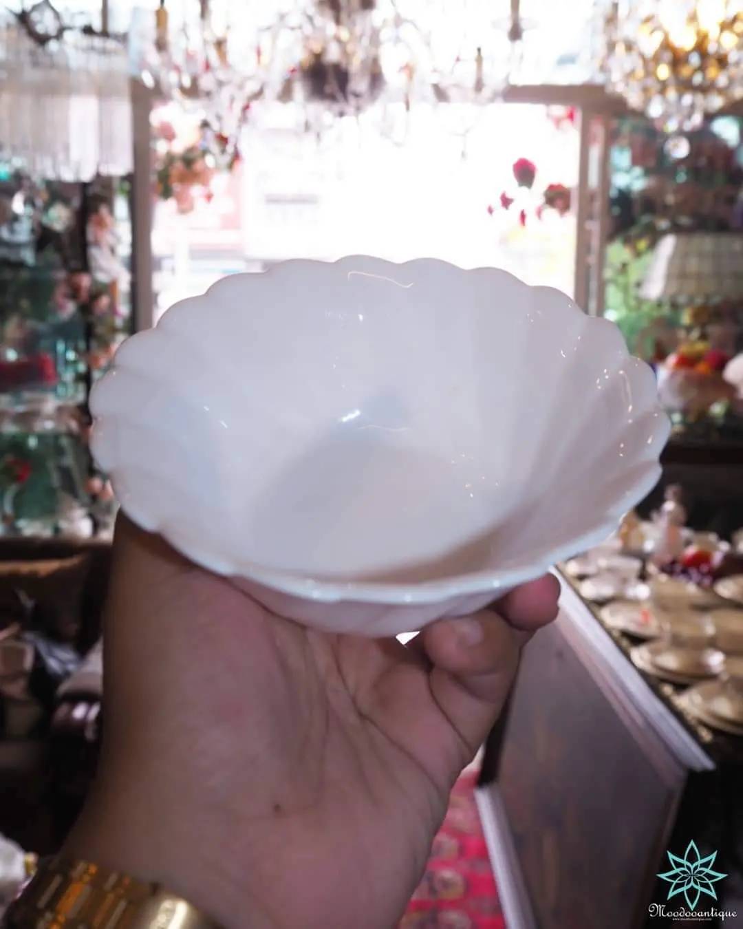 Arcopal France ฝรั่งเศษ เนื้อนม