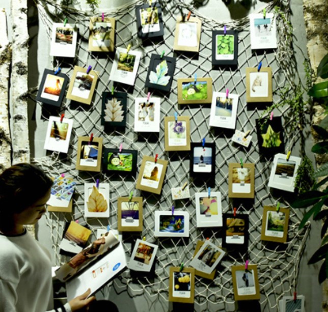 ตาข่ายพร้อมกรอบรูปโปสการ์ด 40 รูป (ใส่รูปแนวตั้งขนาด11*8 cm) : picture on net