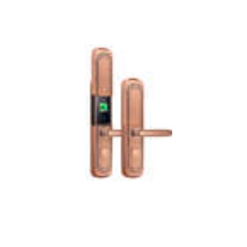 Hiview Smart doorlock รุ่น HSM-DLOCK-LR