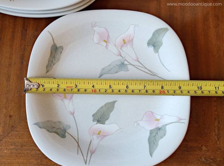 จานอาหาร แบรนด์ MIKASA Natural Beauty CT002