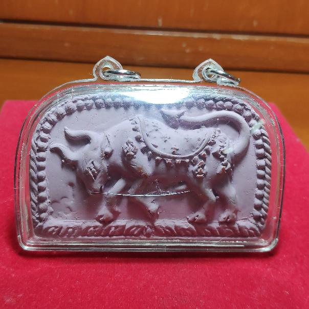 วัวธนูอาคมรุ่นเเรกหลวงปู่เเก้ววัดสะพานไม้เเก่นปี2555